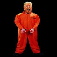 Trump In Orange Jumpsuit Bucket Hat