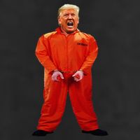 Trump In Orange Jumpsuit 11oz C Handle Ceramic Mug