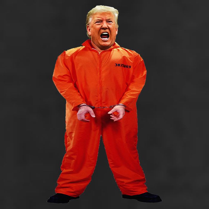Trump In Orange Jumpsuit 11oz C Handle Ceramic Mug