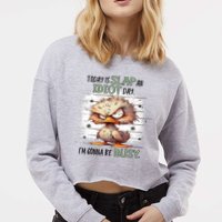 Today Is Slap An Idiot Day IM Gonna Be Busy Cropped Pullover Crew