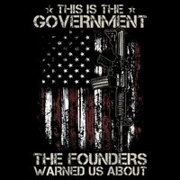 This is The Government The Founders Warned Us About Wool Snapback Cap