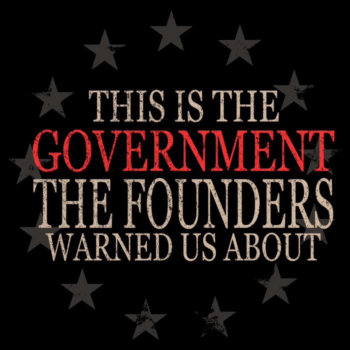 This Is The Government The Founders Warnes Us About Flatbill Hat