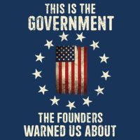 This Is The Government The Founders Warned Us About America Flag Design Kids T-Shirt