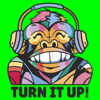 Turn It Up Music Monkey Magnet