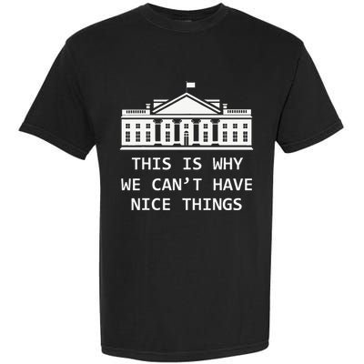 This Is Why We CanT Have Nice Things Freedom Libertarian Garment-Dyed Heavyweight T-Shirt