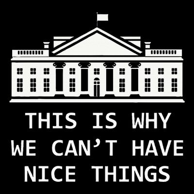 This Is Why We CanT Have Nice Things Freedom Libertarian T-Shirt