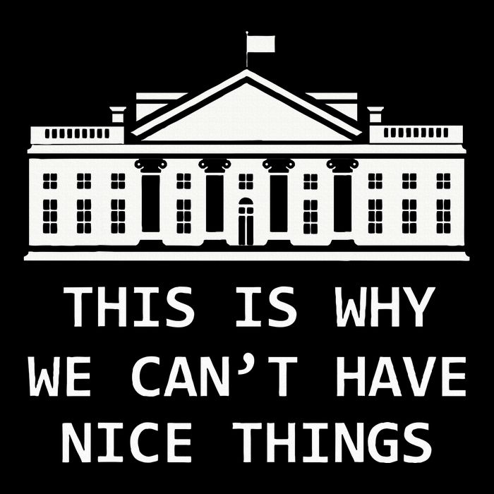 This Is Why We CanT Have Nice Things Freedom Libertarian Mesh Reversible Basketball Jersey Tank