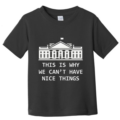 This Is Why We CanT Have Nice Things Freedom Libertarian Toddler T-Shirt