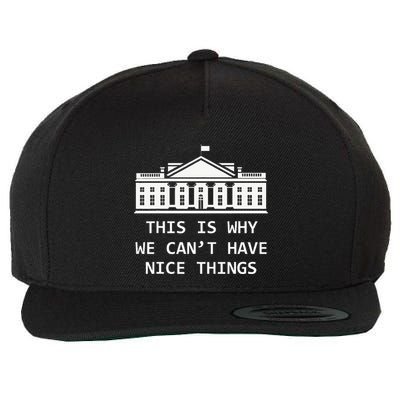 This Is Why We CanT Have Nice Things Freedom Libertarian Wool Snapback Cap
