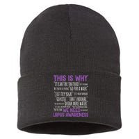 This Is Why We Need Lupus Awareness Sustainable Knit Beanie