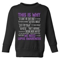 This Is Why We Need Lupus Awareness Toddler Sweatshirt