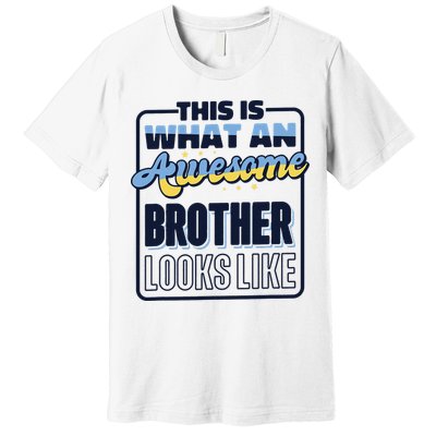 This Is What An Awesome Brother Looks Like, Awesome Brother Premium T-Shirt