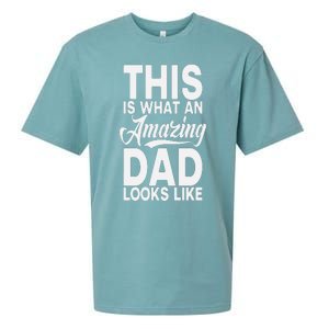 This Is What An Amazing Dad Looks Like Funny Fathers Day Sueded Cloud Jersey T-Shirt