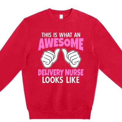 This Is What An Awesome Delivery Nurse Looks Like Meaningful Gift Premium Crewneck Sweatshirt