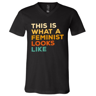 This Is What A Feminist Looks Like Feminism Advocate V-Neck T-Shirt