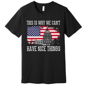 This Is Why We CanT Have Nice Things Anti Government Premium T-Shirt