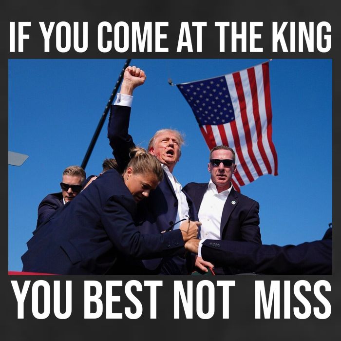 Trump If You Come At The King You Best Not Miss Adult Drive Performance Visor