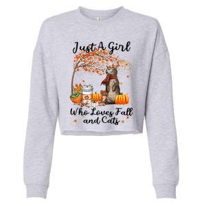 Tu Just A Who Loves Fall And Cat Costume Thanksgiving Cool Gift Cropped Pullover Crew