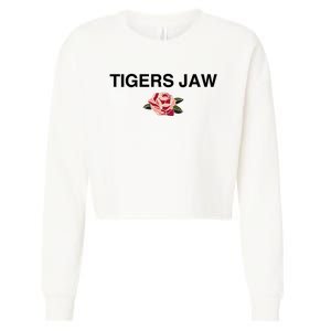 Tigers Jaw Charmer Cropped Pullover Crew