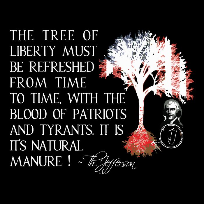Thomas Jefferson Tree Of Liberty Women's Crop Top Tee