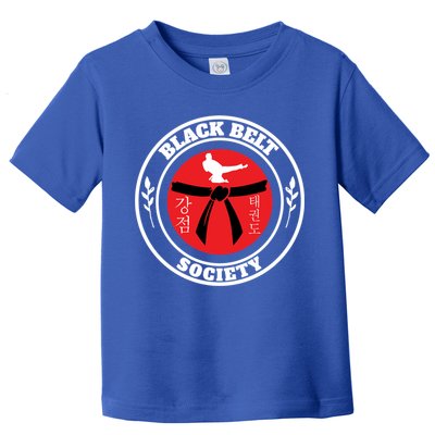 Tkd Korean Martial Arts Tae Kwon Do Fighter Black Belt Funny Gift Toddler T-Shirt