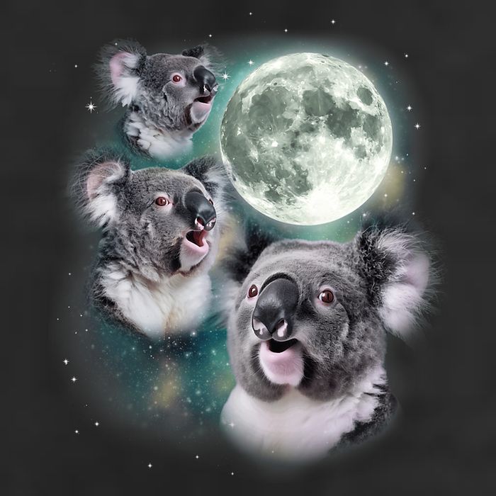 Three Koala Moon Cute Quirky Meme Howling Wildlife Koala 7 Panel Mesh Trucker Snapback Hat