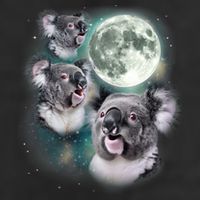 Three Koala Moon Cute Quirky Meme Howling Wildlife Koala Adult Drive Performance Visor