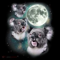 Three Koala Moon Cute Quirky Meme Howling Wildlife Koala Flatbill Hat