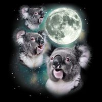 Three Koala Moon Cute Quirky Meme Howling Wildlife Koala Bag
