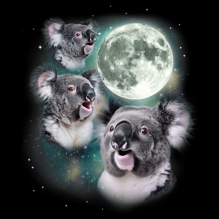 Three Koala Moon Cute Quirky Meme Howling Wildlife Koala Kids T-Shirt