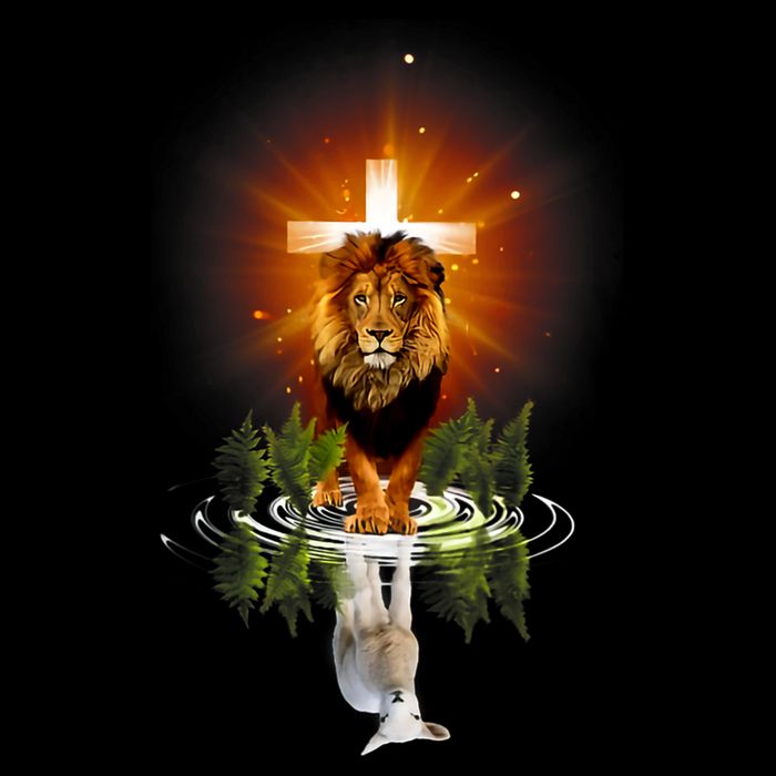 The Lion And The Lamb Water Reflection Jesus Christian Bucket Hat