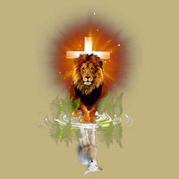 The Lion And The Lamb Water Reflection Jesus Christian Magnet