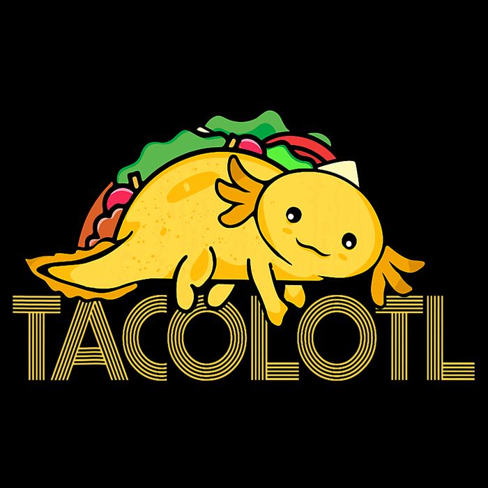 Taco Lover   Axolotl Lover Women Cute Mexican Axolotl  Bucket Hat