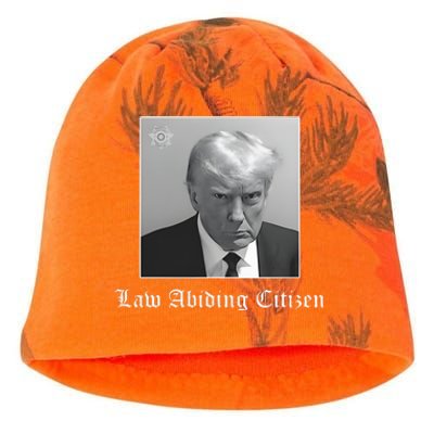 Trump Law Abiding Citizen My Ass Got Arrested Kati - Camo Knit Beanie