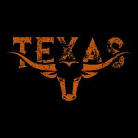Texas Longhorn Austin Pride Texas Longhorn Bull Horn Wool Snapback Cap