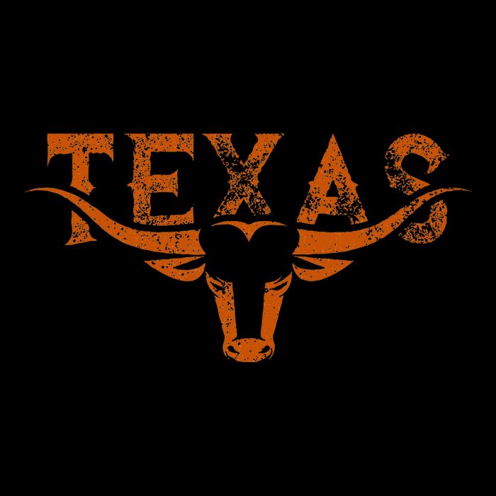 Texas Longhorn Austin Pride Texas Longhorn Bull Horn Wool Snapback Cap