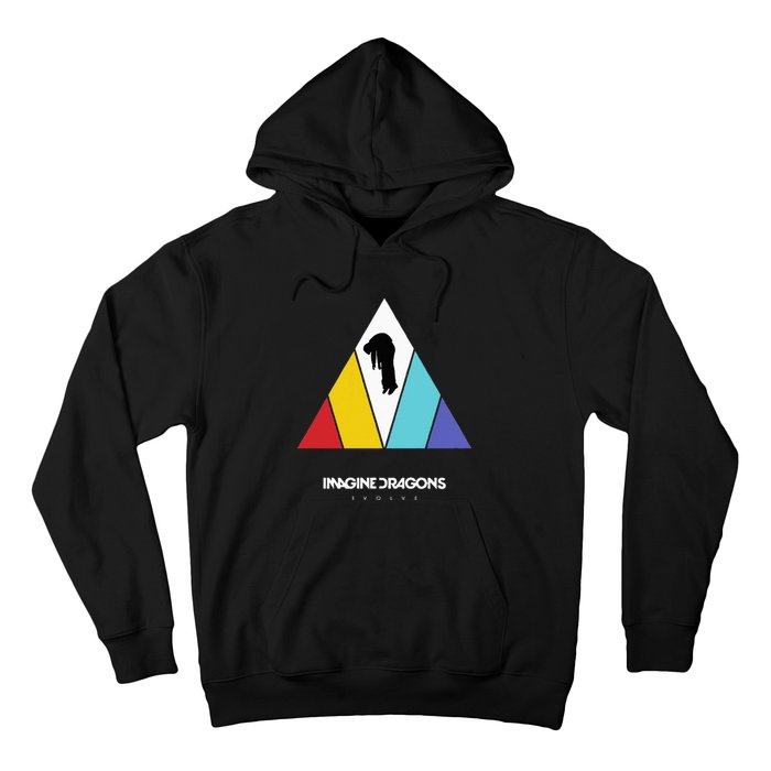 Triangle Logo Black Hoodie