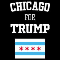 The Lioness Chicago For Trump Flag 16 in Basic Backpack