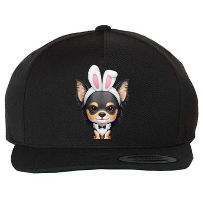 Tricolor Long Coat Chihuahua In Easter Bunny Costume Wool Snapback Cap