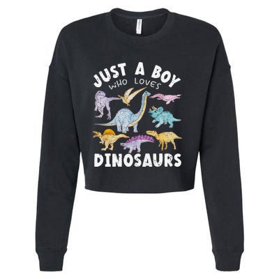 This Loves Dinos Funny Dinosaur Lover Gift Cropped Pullover Crew