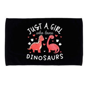 This Loves Dinos Funny Dinosaur Lover Gift Microfiber Hand Towel