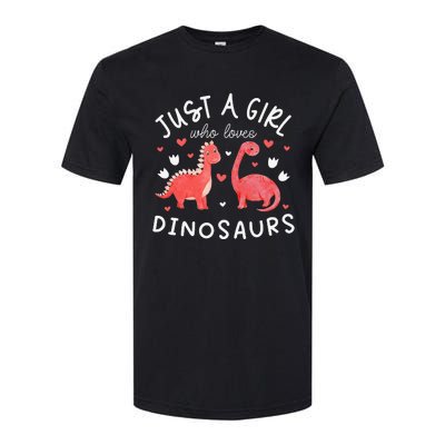 This Loves Dinos Funny Dinosaur Lover Gift Softstyle CVC T-Shirt