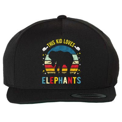 This Loves Elephants And Elephant Gift Wool Snapback Cap