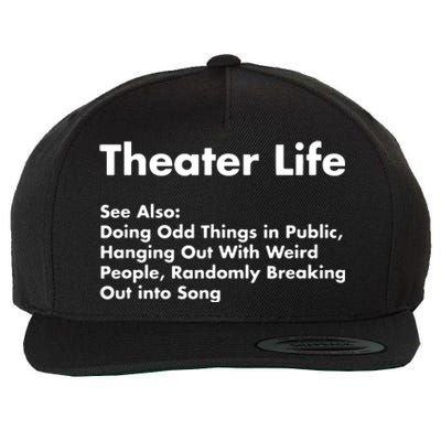 Theater Life Funny Drama Actor Actress Gifts Wool Snapback Cap