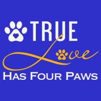 True Love Has Four Paws Funny Dogs Cats Valentine Gift Women's V-Neck T-Shirt