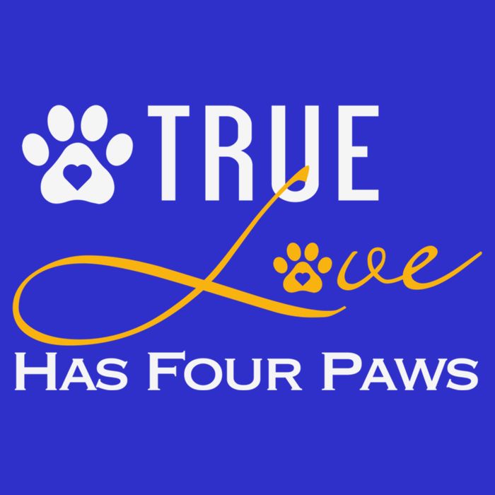 True Love Has Four Paws Funny Dogs Cats Valentine Gift Women's V-Neck T-Shirt