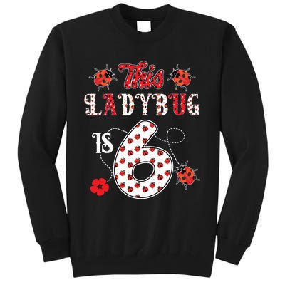 This Ladybug Is 6 Years Old 6th Birthday Family Ladybug Tall Sweatshirt