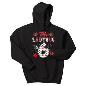 This Ladybug Is 6 Years Old 6th Birthday Family Ladybug Kids Hoodie