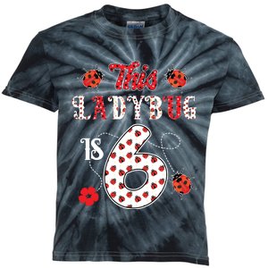 This Ladybug Is 6 Years Old 6th Birthday Family Ladybug Kids Tie-Dye T-Shirt