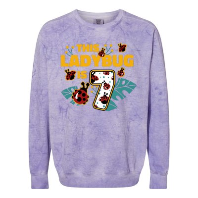 This Ladybug Is 7 Cute Gift Colorblast Crewneck Sweatshirt